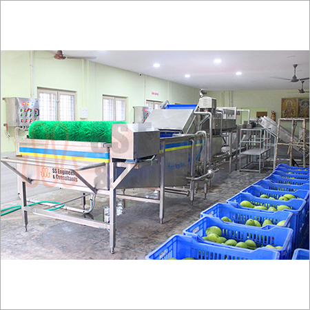 Fruits & Vegetables Processing Lines