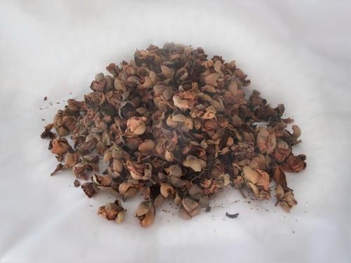 Mesua Ferrea Extract