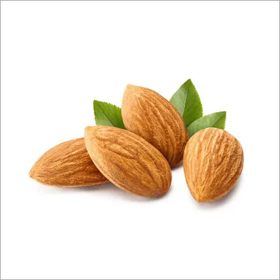 Almond Nut