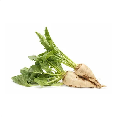 Beet Sugar