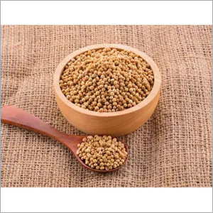 Coriander Seed