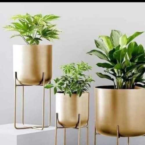 Flowers set of 3