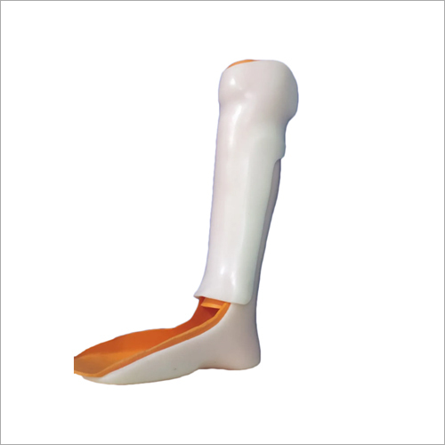 PTB Brace