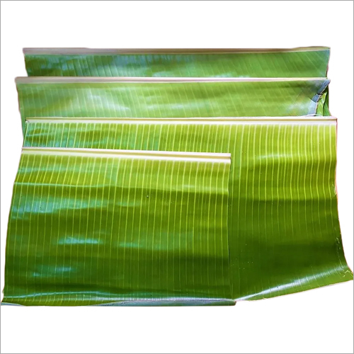 Fresh Banana Leaf for Tiffin, Lunch and Dinner