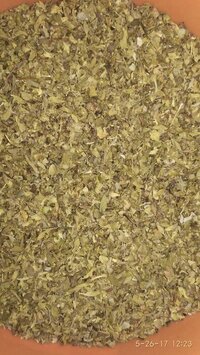 Oregano Leaves - Age Group: Suitable For All