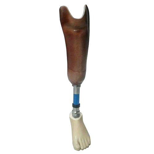 Artificial BK Limbs