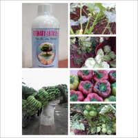 Organic Viral Protection