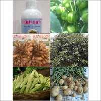 Micronutrient Fertilizers For Plant Growth