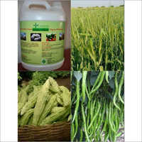 Organic Fertilizer For Green House