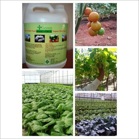 Organic Fertilizer NPK