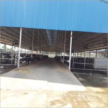 Dairy Farm Consultancy By BHIM DAIRY FARM