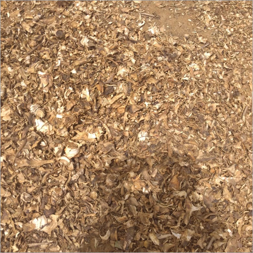 Aloe Vera Dry Leaf Grade: Medicine Grade