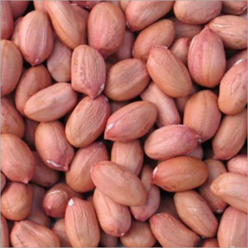 Natural Ground Nuts - Organic Grade A, Dried Natural Size | High Protein Source with Essential B Vitamins, Calcium, and Potassium