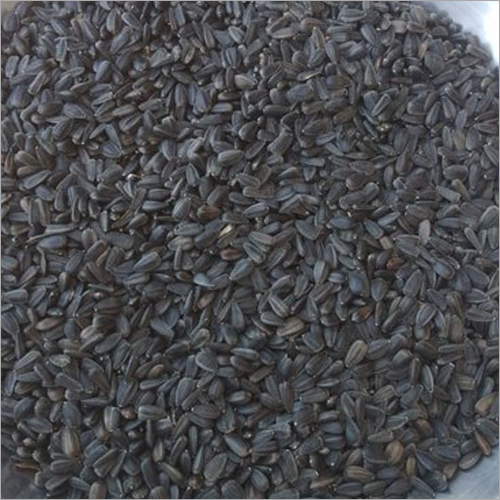 Common Sunflower Oil Seeds And Bird Feeding Seeds