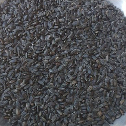 Sunflower Oil Seeds And Bird Feeding Seeds