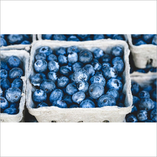 Proven Blueberries