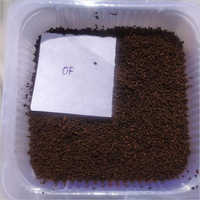 OF Assam Tea