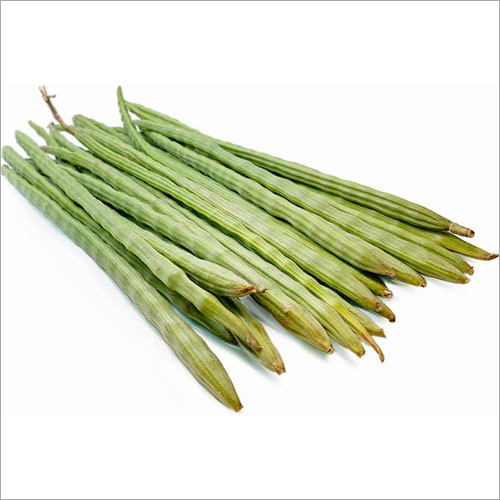 Fresh Drumstick