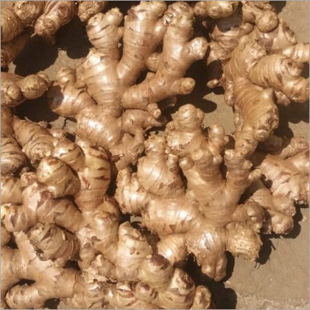 Fresh Ginger