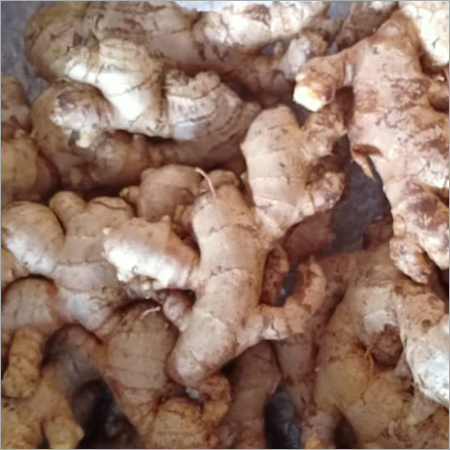Fresh Ginger