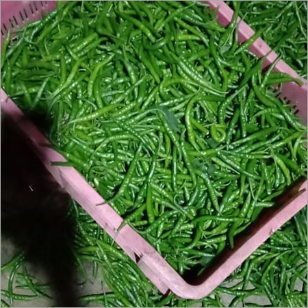 Green Chilly