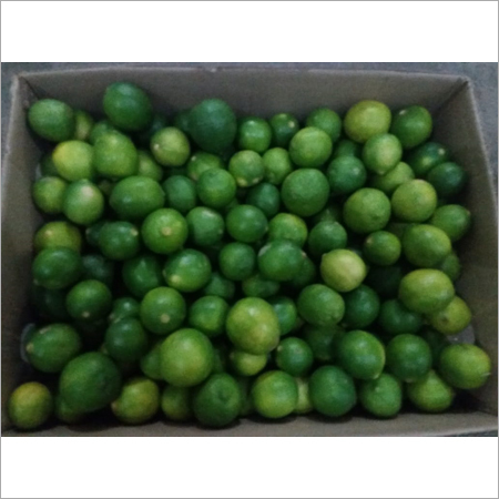 Fresh Lemon