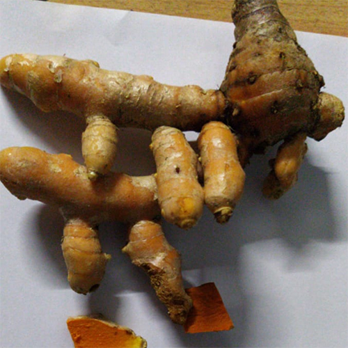 Lakadang Turmeric Fresh