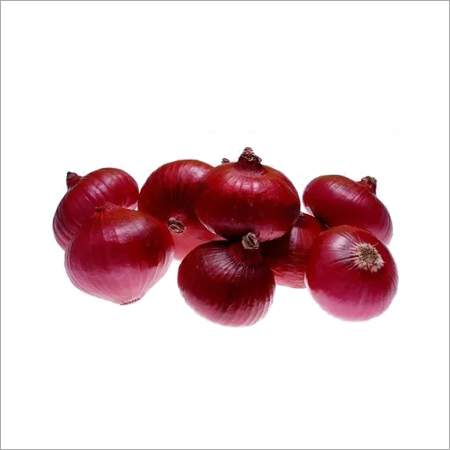 Red Onion By EARTHILL GLOBAL IMPEX PRIVATE LIMITED