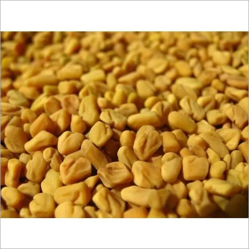 Fenugreek Seed