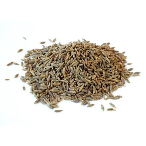 Cumin Seeds By EARTHILL GLOBAL IMPEX PRIVATE LIMITED
