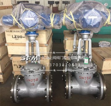 Electric gate valve