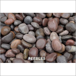 Natural Pebble Stone By SHRUTI ASSOCIATES