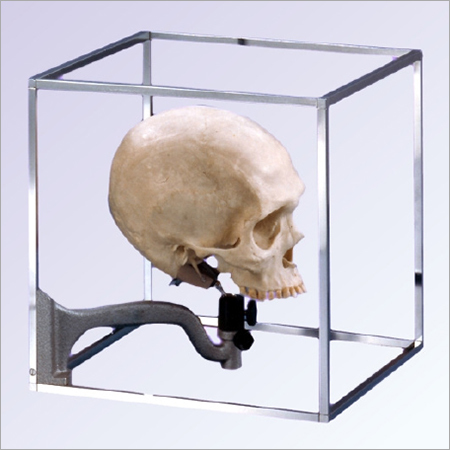 Cubic Craniophore