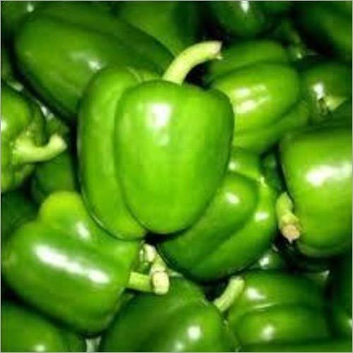 Fresh Green Capsicum - Organic Quality, Natural Shape and Fresh Style for Culinary Uses
