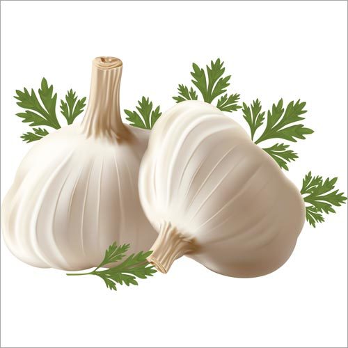 White Garlic - Organic, Fresh Natural Shape | Perfect for Culinary Uses