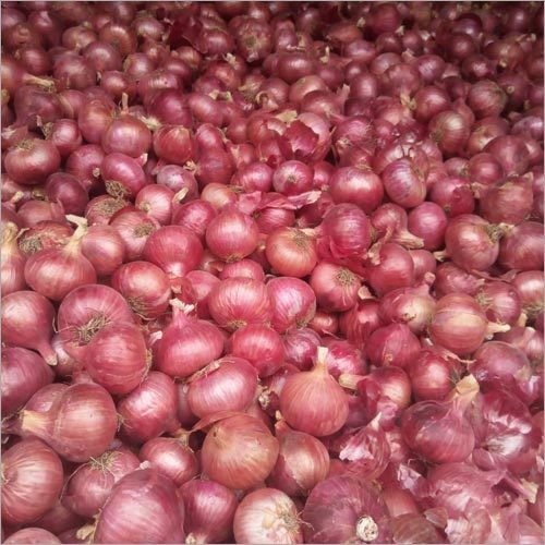 Natural Fresh Red Onion