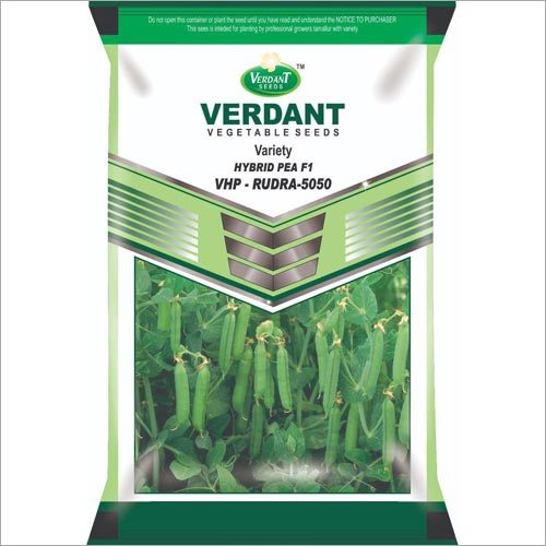 Hybrid Pea F1 Seeds By VERDANT SEEDS AND CHEMICALS PRIVATE LIMITED