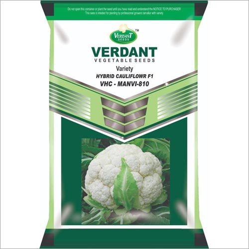 Hybrid Cauliflower F1 Seeds By VERDANT SEEDS AND CHEMICALS PRIVATE LIMITED
