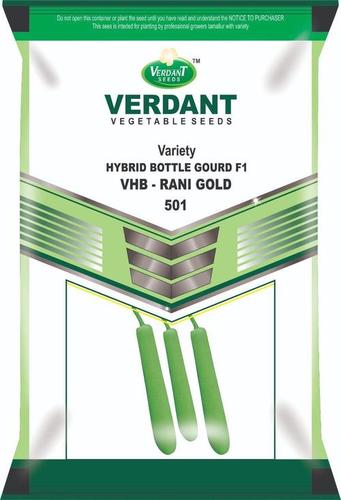 Light Green Hybrid Rani Gold-501