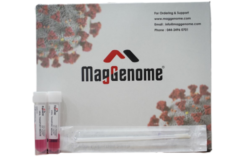 Mag Genome MOLECULAR TRANSPORT MEDIUM