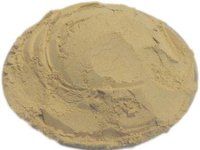 Hadjod Powder