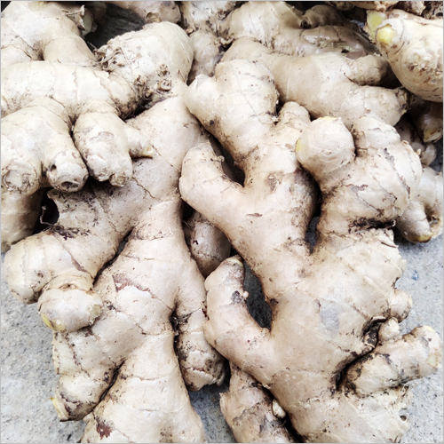 Fresh Canned Dry Ginger