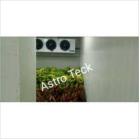 Astro Teck Vegetables And Fruits Cold Storage Room