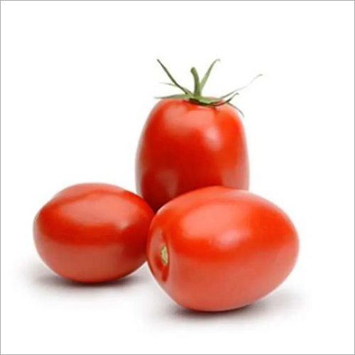 Fresh Tomato