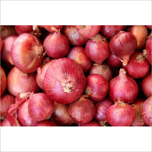 Red Onion