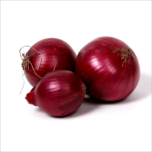 Fresh Onion