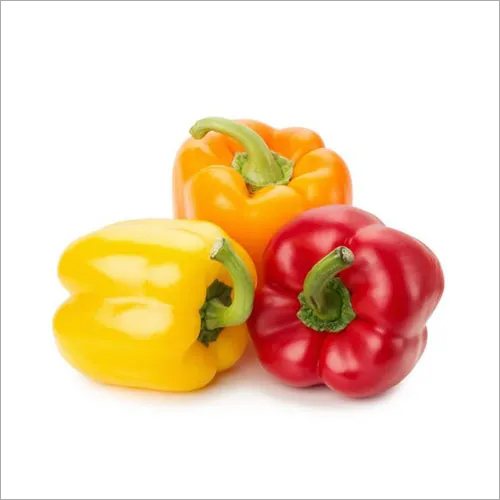 Fresh Capsicum