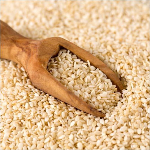 Harvested Sesame Seeds - Organic, Grade A | Handpicked White Seeds, High Purity, Rich in Oil, Custom Packaging Available