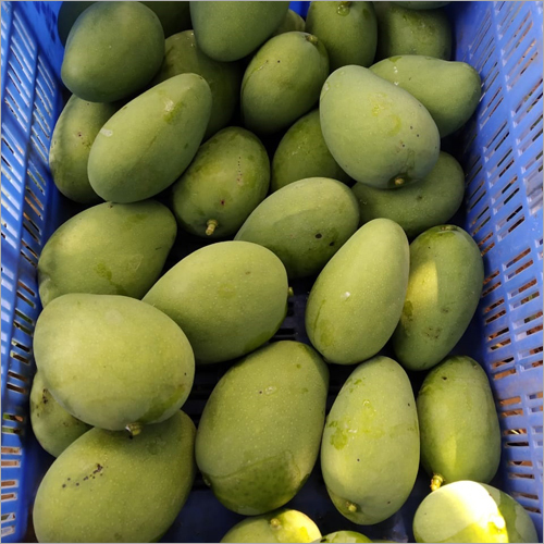 Organic Fresh Green Mango