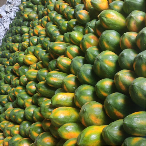 Fresh Papaya By TIO MATERNO MADRE EXPORTS